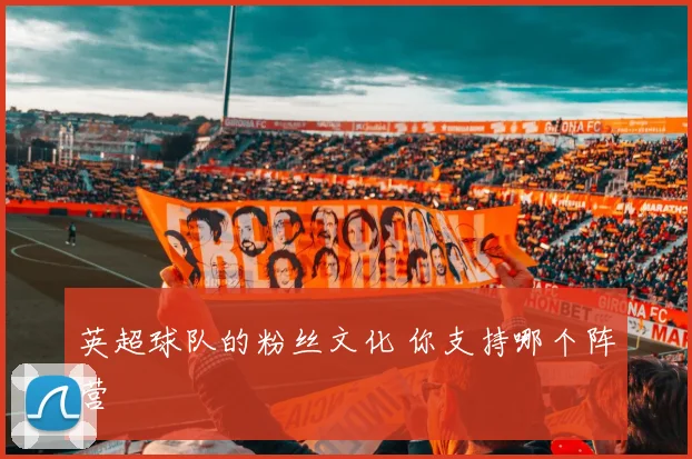英超球队的粉丝文化 你支持哪个阵营