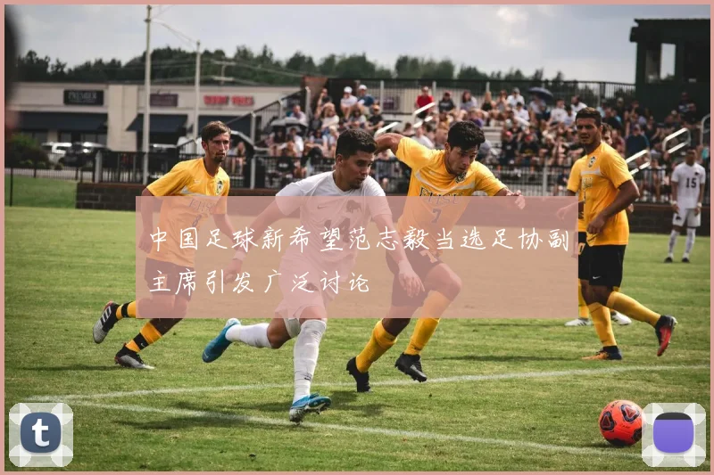 中国足球新希望范志毅当选足协副主席引发广泛讨论